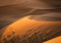 Golden sunlight bathes the vast desert sand dunes.
