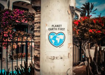 Planet Earth First signage sticked in gray post outdoors