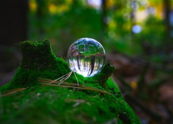 a glass ball sitting on top of a moss covered tree stump