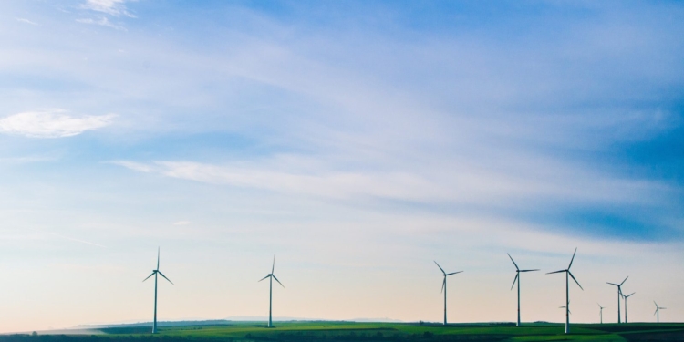 white windmills on green grass field under white clouds and blue sky