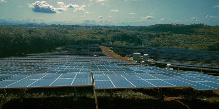 a large solar farm with many rows of solar panels