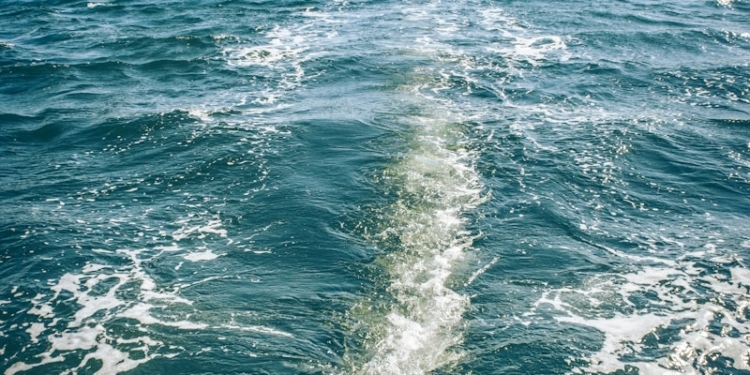 a view of the back of a boat in the water