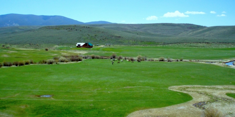 green grass field near mountain under blue sky during daytime