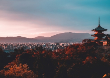 pagoda surrounded by trees