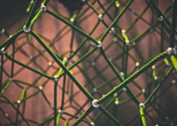 green and black rope