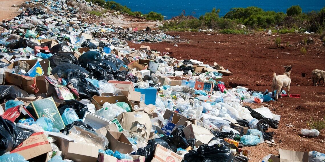 plastic recycling rate - Eco Business News
