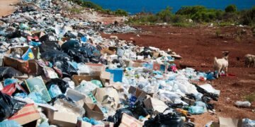 plastic recycling rate - Eco Business News