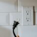 phantom power - Eco Business News