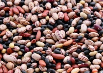 food carbon footprint - Eco Business News