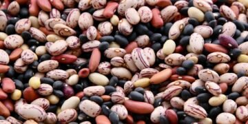 food carbon footprint - Eco Business News