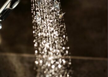 shower water use - Eco Business News