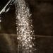 shower water use - Eco Business News