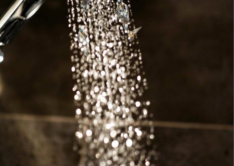 shower water use - Eco Business News