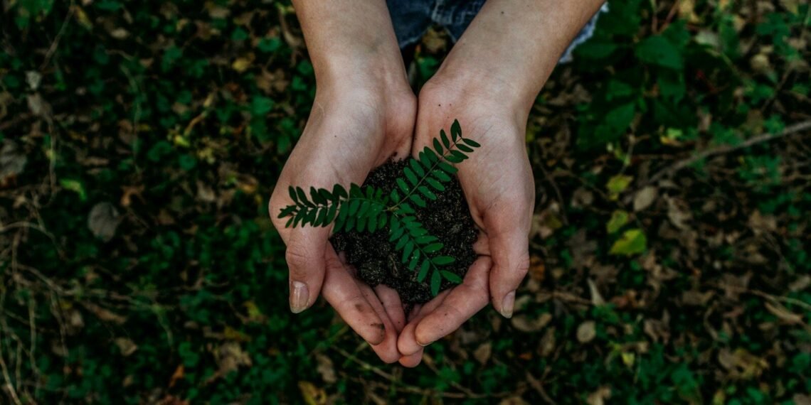 small eco habits - Eco Business News