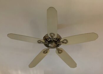 ceiling fan savings - Eco Business News