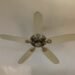 ceiling fan savings - Eco Business News