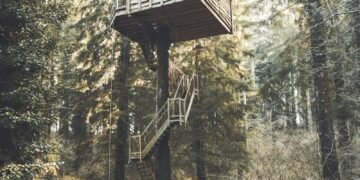 shade trees savings - Eco Business News