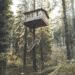 shade trees savings - Eco Business News