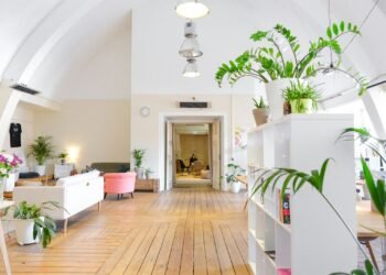 Office with plants