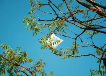 Green leaves and plastic