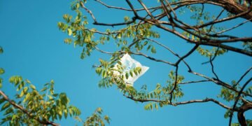 recycle plastic bags - Eco Business News