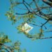 recycle plastic bags - Eco Business News