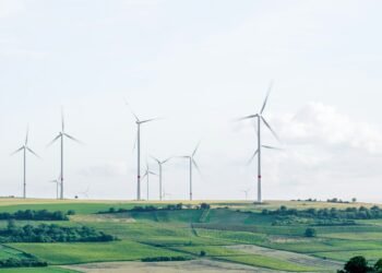 Wind farm and power lines