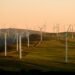 Wind turbines at sunrise