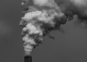 Industrial plant with chimneys