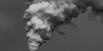 Industrial plant with chimneys