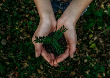 Hands holding a green earth