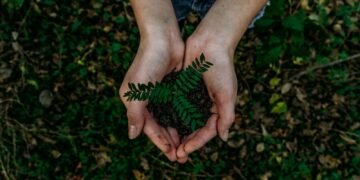 Hands holding a green earth