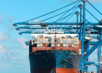 Container ship at a port