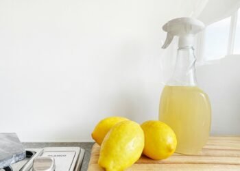 Seventh Generation sustainability - eco friendly cleaning products home