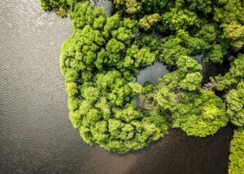 Meta water positive - wetland river restoration nature