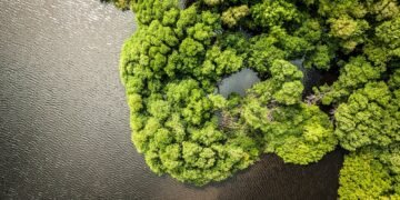 Meta water positive - wetland river restoration nature