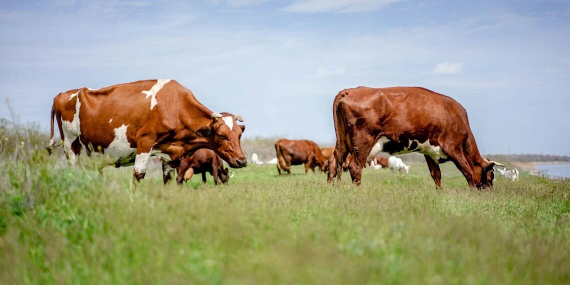 methane vs carbon dioxide - Eco Business News