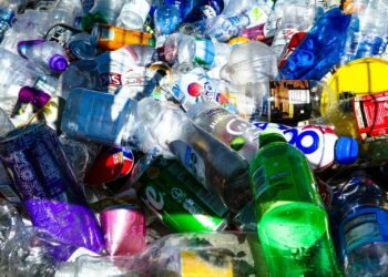 reusable water bottle - Eco Business News